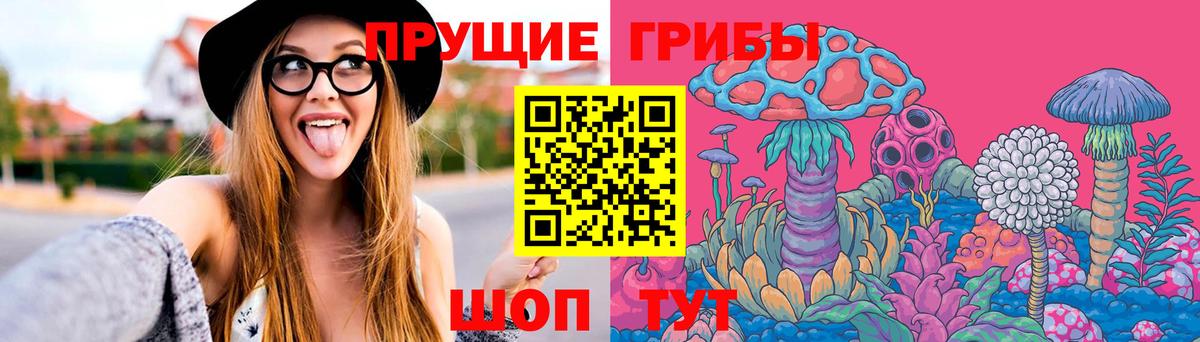 Верхний Уфалей  Галлюциногенные грибы MAGIC MUSHROOMS  Вход с VPN 