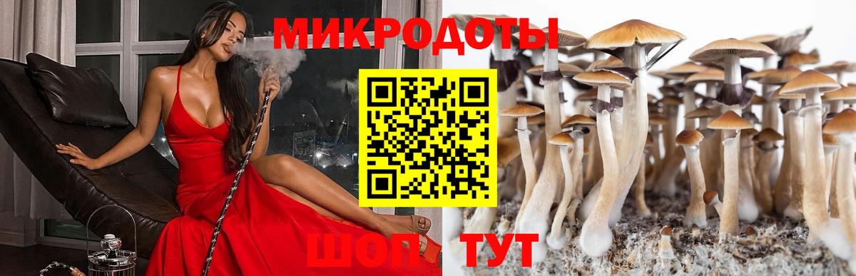 Галлюциногенные грибы ЛСД Верхний Уфалей